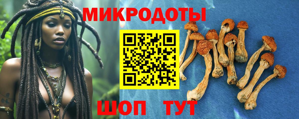 Псилоцибиновые грибы Psilocybine cubensis  Галлюциногенные грибы Cubensis  Рыбинск  где можно купить   Вход с VPN 